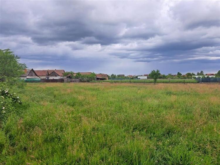 RECO Teren  intravilan in Cefa - 1