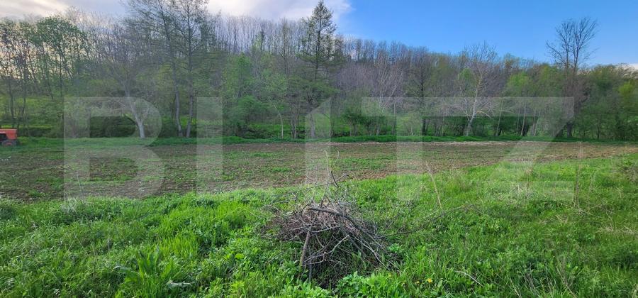 Teren 6650 mp, cu casa nefinalizata de 111 mp, in Nisipoasa. - 12