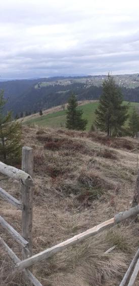 Teren de vanzare ideal pentru cabana in Maguri Racatau - 4