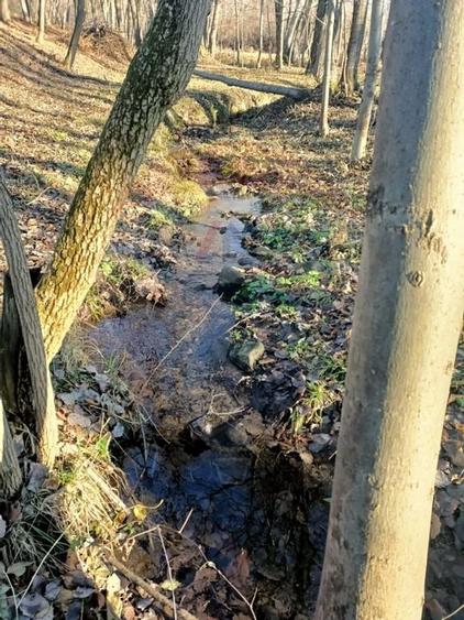 Vânzare casa la munte - zona turistica - Baia de Fier - 28