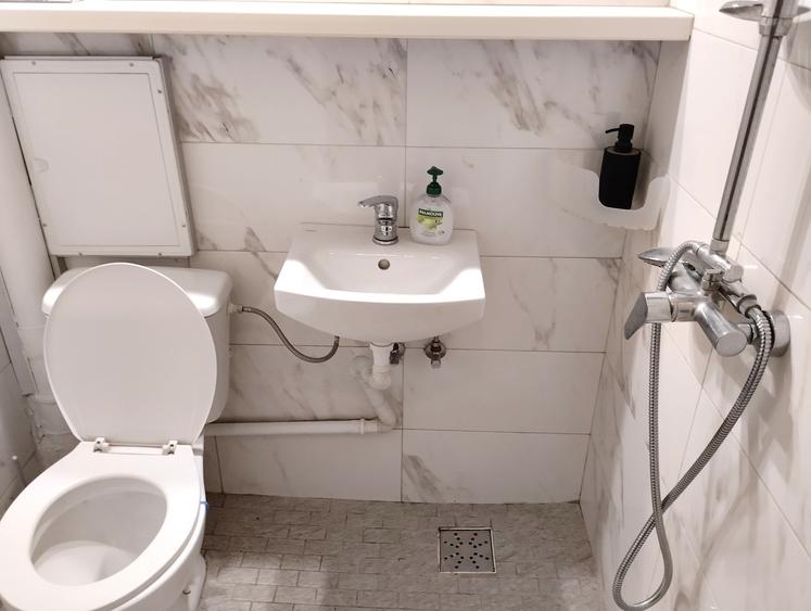 Salaj, Rahova, str. Pricopan, 10 minute de Piata Unirii cu STB 117, ocazie - 7