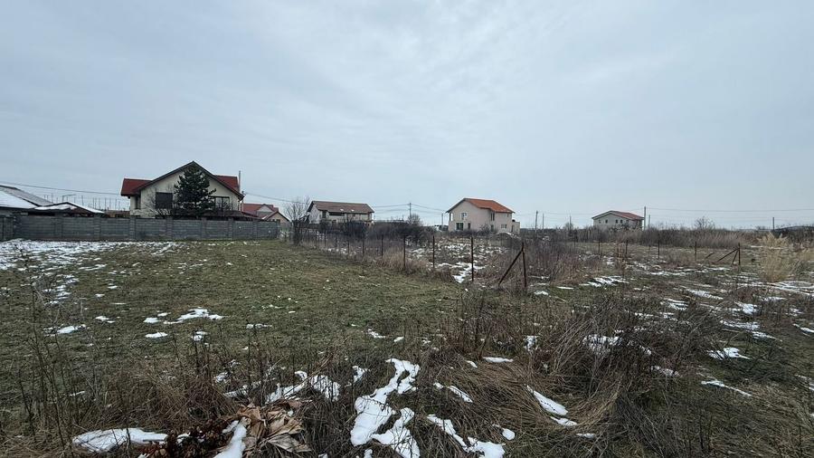 COMISION 0% | Teren de Vanzare in Sacalaz | Front 20m | 605mp - 2