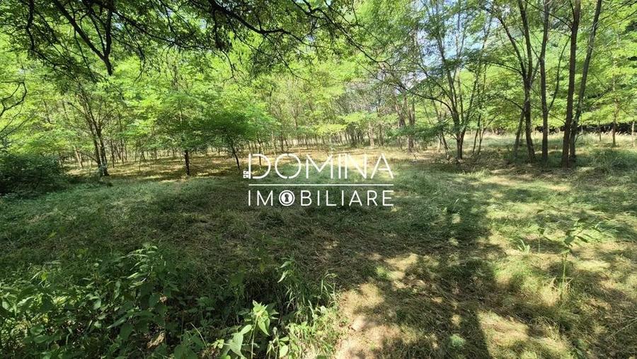 Vanzare casa batraneasca ?i teren in apropiere de complex turistic Mu?ete?ti - 10