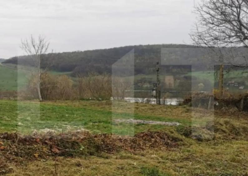 Investitie ! Casa individuala 1 camera, 51 mp, 3000 mp teren - 1