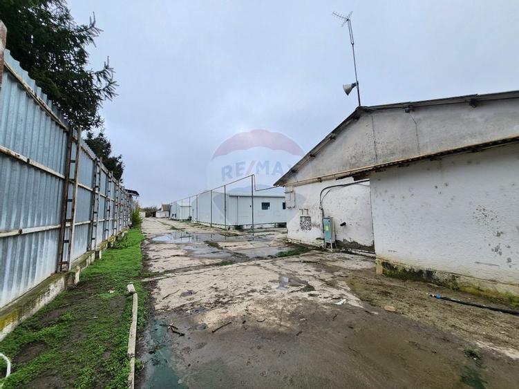 Hala depozitare sau productie Ciorogarla | Darvari 2.8 E/mp - 10
