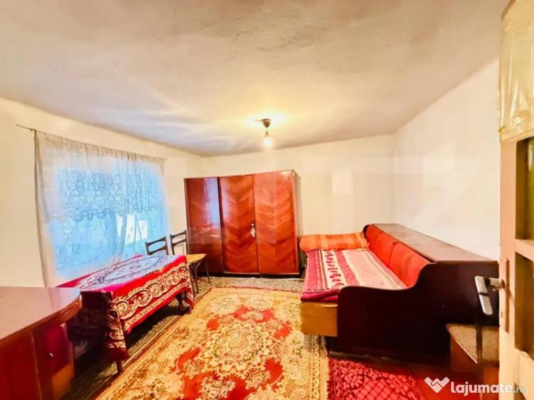 Oaza de lini?te in Titu Salcu?a - 5