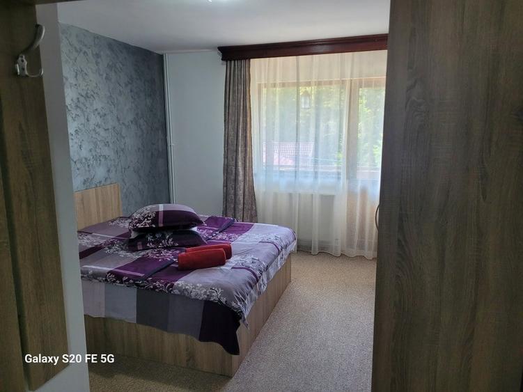 Vila turistica de vanzare in Busteni - 9