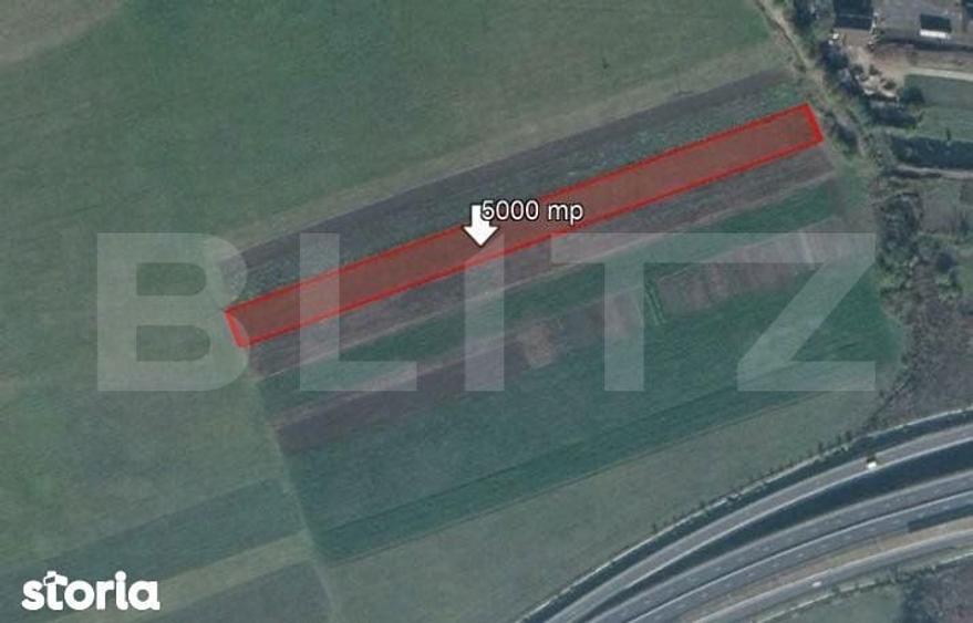 Teren de 5000 mp, Stupini - 1