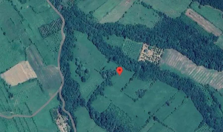 -teren extravilan, com. Prigor, jud. Caras-Severin - 1