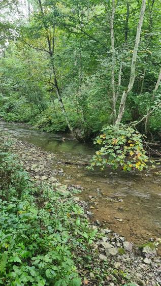 Vand proprietate pe Transapuseana - 5