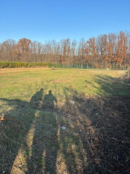 Vand Teren Mosoaia. - 4