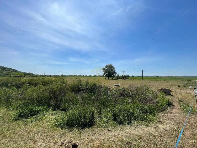 Teren 14500 MP in Sabisa langa Soseaua Principala - 3