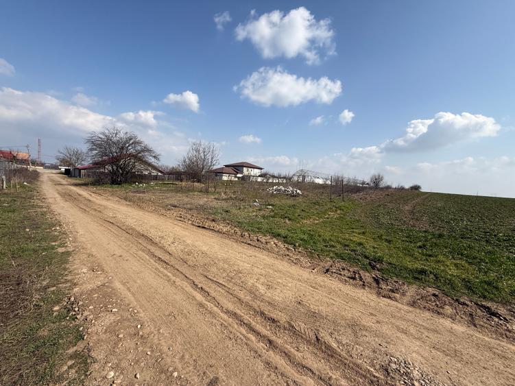 Teren intravilan 4.990 mp – Frumușani, zona Pasărea | Deschidere 22,5 m - 3