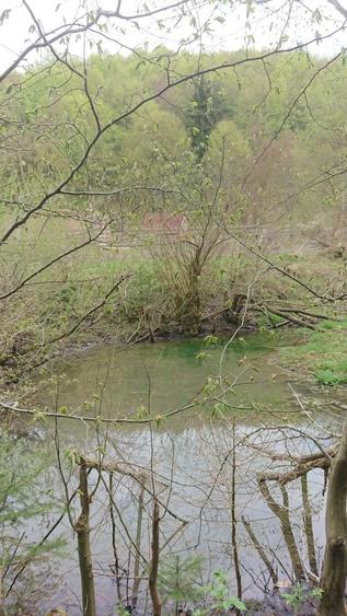 Teren de vanzare la munte valea bozumului - 3