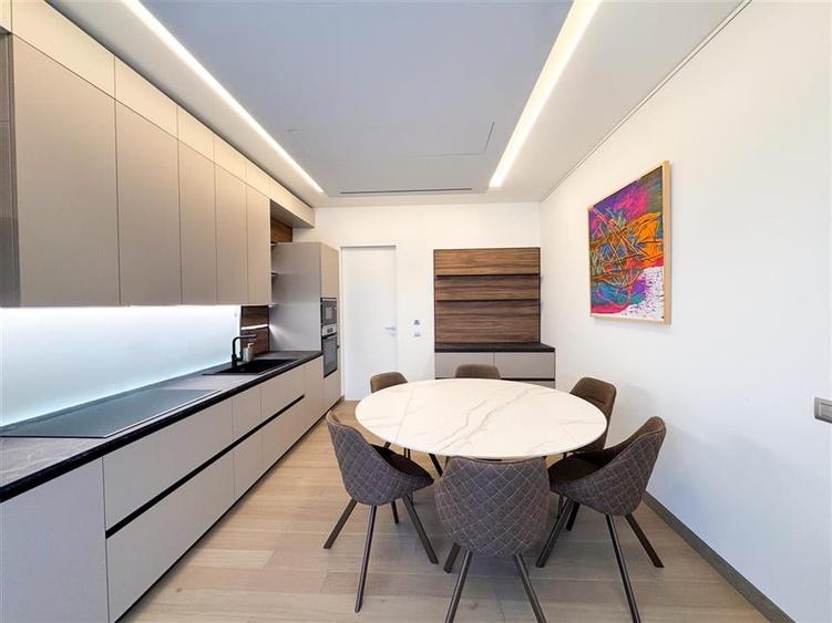 Apartament de inchiriat 5 camere Kiseleff - 14