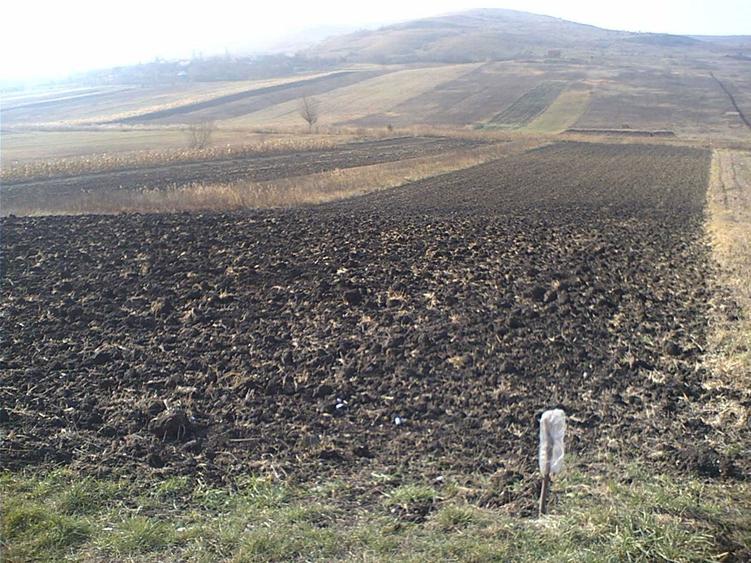 Vand teren in Colonia Sopor - Cartierul Gheorgheni - 2