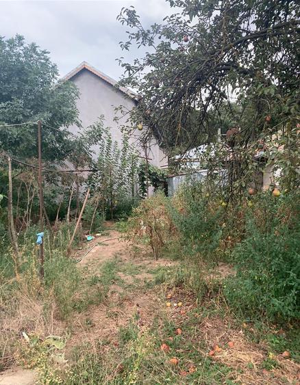 Voluntari  Vanzare Teren 1400mp cu casa batraneasca - 4