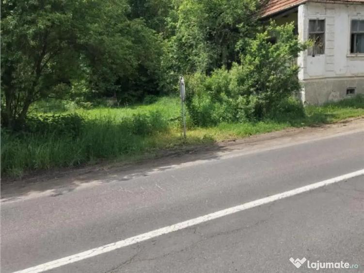 Domeniu verde autentic, 5.000mp, front la DJ, Valcele, Bra - 9