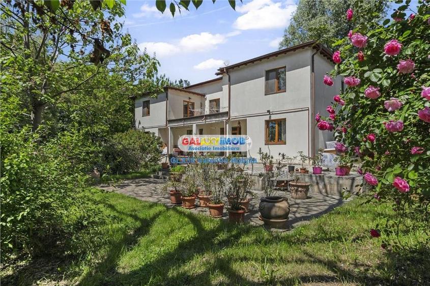 Vanzare vila Lacul TEI  PETRICANI INSULA  LAC 1900 MP TEREN