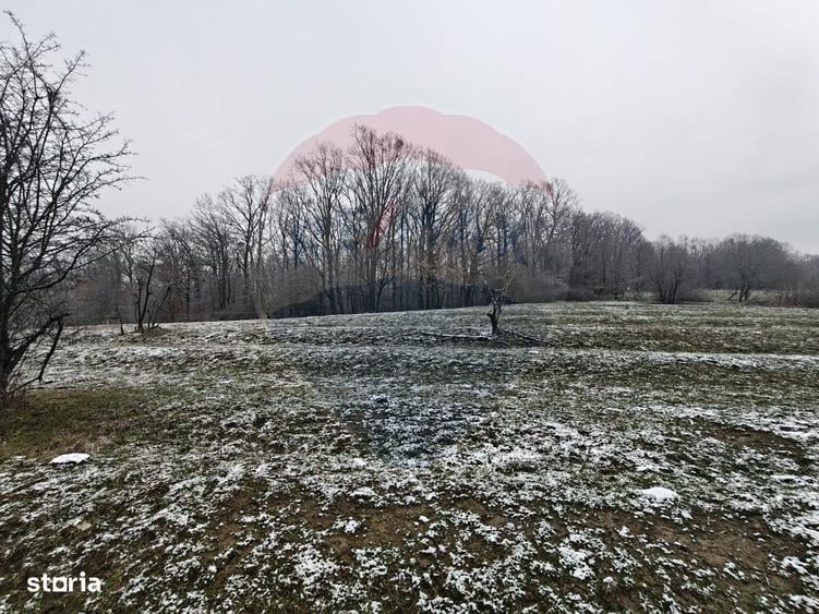 Teren 5,700mp Somcuta Mare / investitie cu potential major - 8