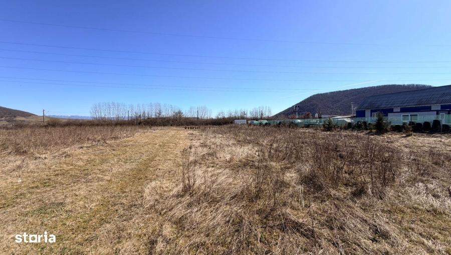 Teren intravilan de vanzare zona industriala Sara?el, jud B-N - 7