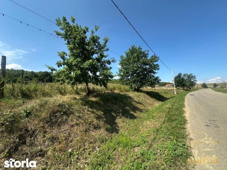 Teren intravilan de 576 mp de vanzare pe drumul DC59 , Haieu - Bihor - 6