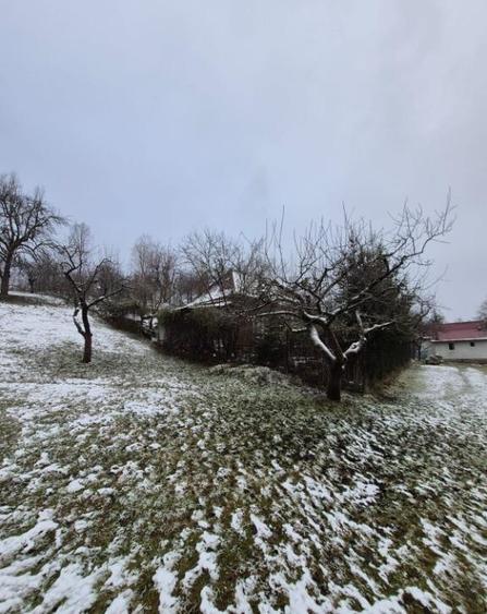 Coas, cabana, 28 ari teren - 4