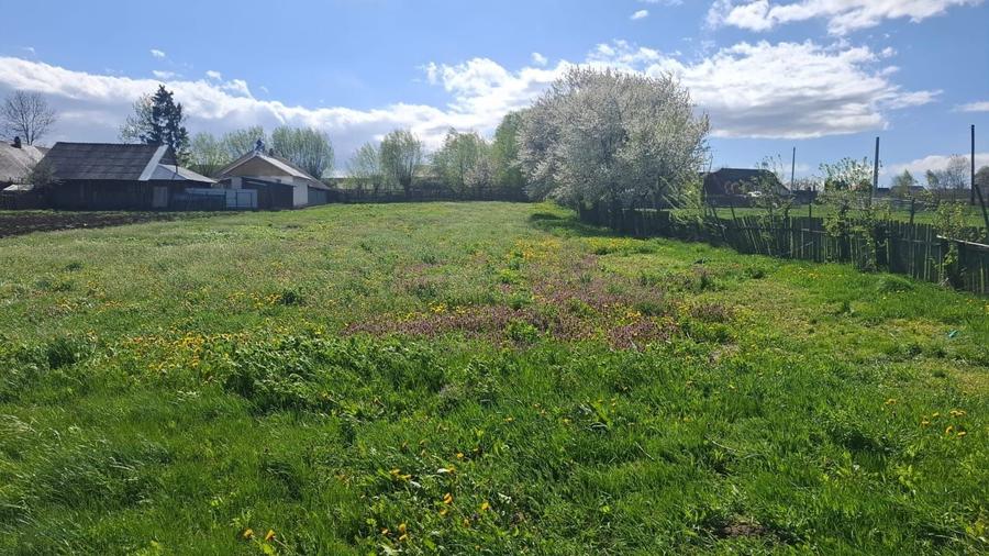 Teren intravilan 1800 mp, Pocoleni (Radaseni) - forma dreptunghiulara, posibilitate parcelare - 8