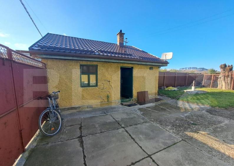 Casa individuala de vanzare in satul Zizin, jude?ul Bra - 4