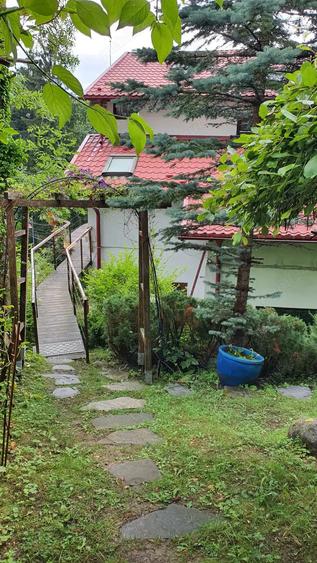OCAZIE UNICA: Casa cu gradina in cel mai bun loc din Sinaia! Reziden?ial sau Pensiune - Restaurant - 3