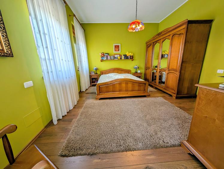 Jiului-Coralilor-Damaroaia,eleganta,robusta,garaj,curte intima,vegetatie matura - 23