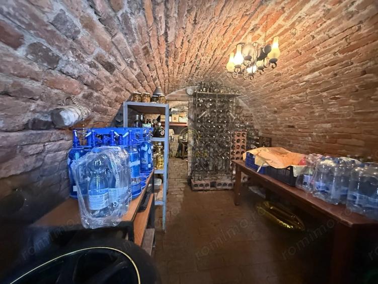 Casă cu 4 camere cu Teren 4839 Mp în Viile Satu Mare