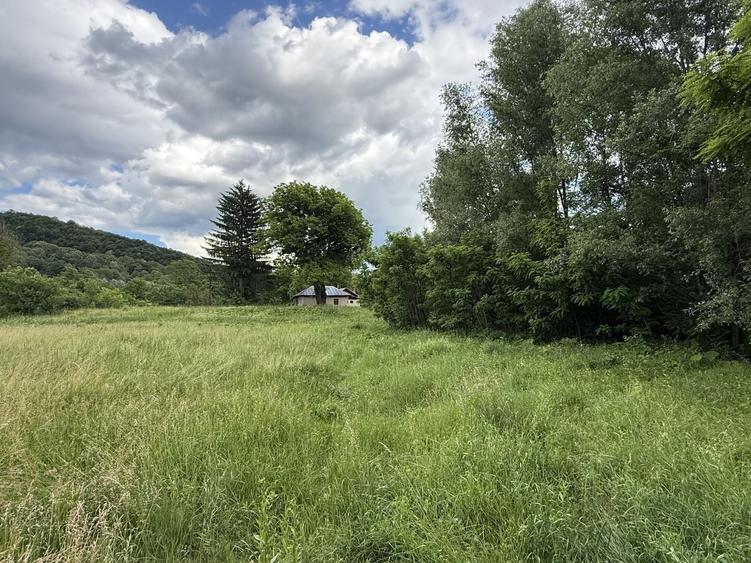 Teren Construcții intravilan de 3800 mp, în Provița de Sus