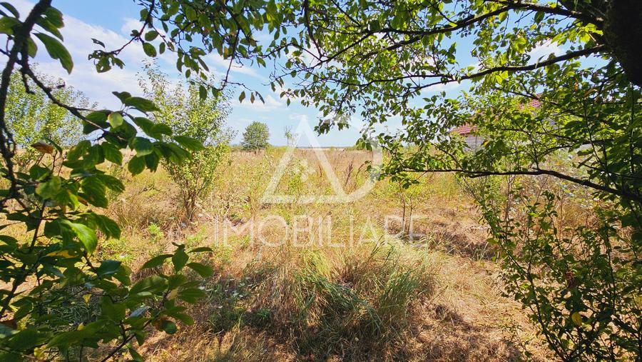 Casă individuală cu 6 camere cu Teren 3778 Mp în 9 Mai