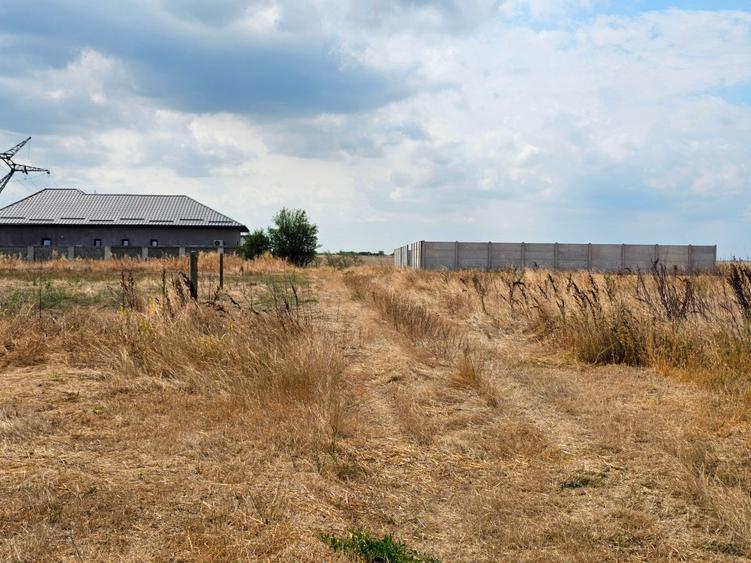 Teren Construcții intravilan de 8000 mp, în Șimnicu de Sus