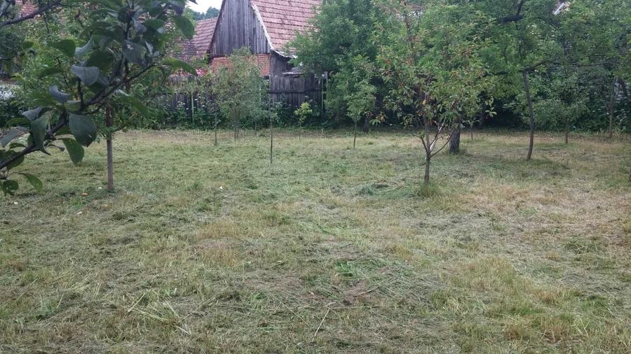 Casă cu 3 camere în Rășinari