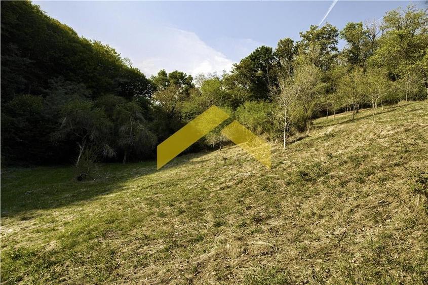 Casa cu padure de vanzare in Savarsini - 15