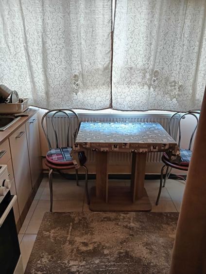 Apartament de vanzare in Bocsa - 5