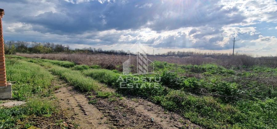 Teren intravilan , curent , apa , nr de casa Sacosu Turcesc - 2