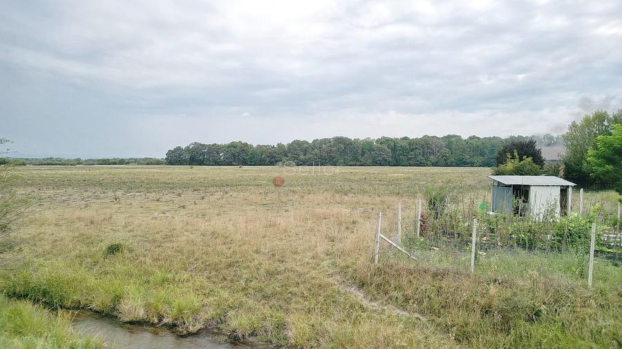 Teren Extravilan - 13