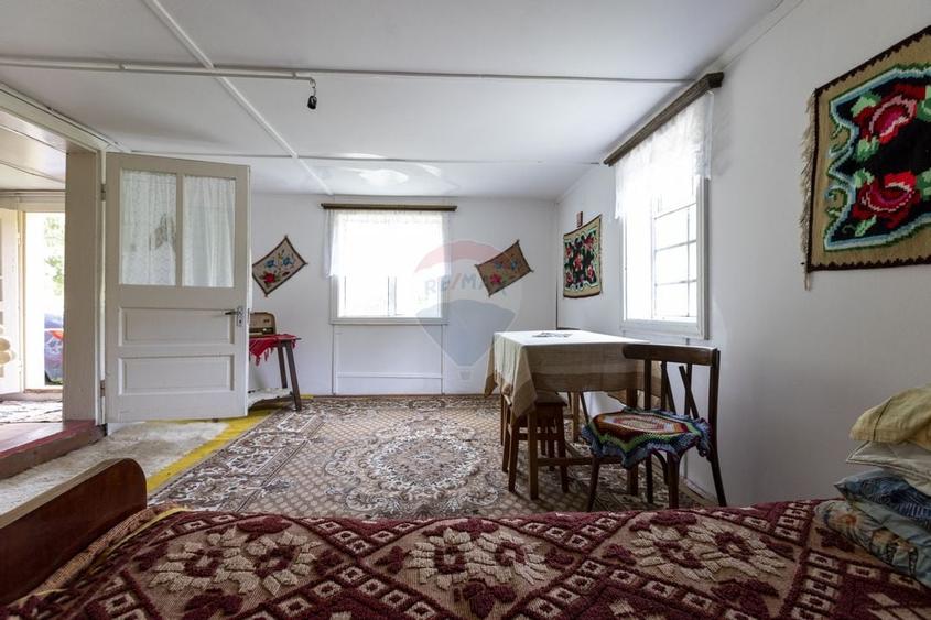 Ferma de vanzare, teren 21436 mp intravilan, Cosnea, Agas - 16