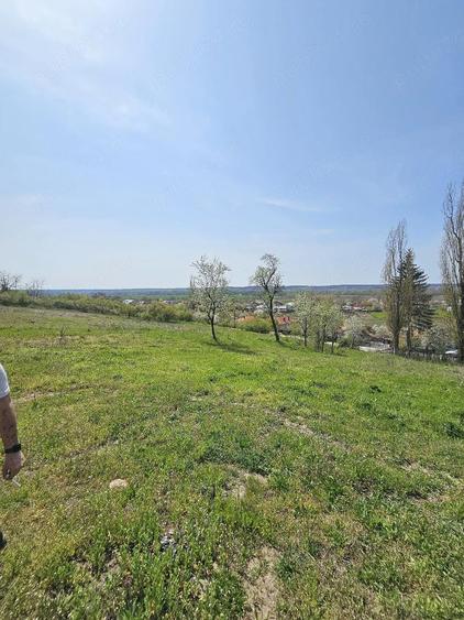 conac sau casa la tara - 1