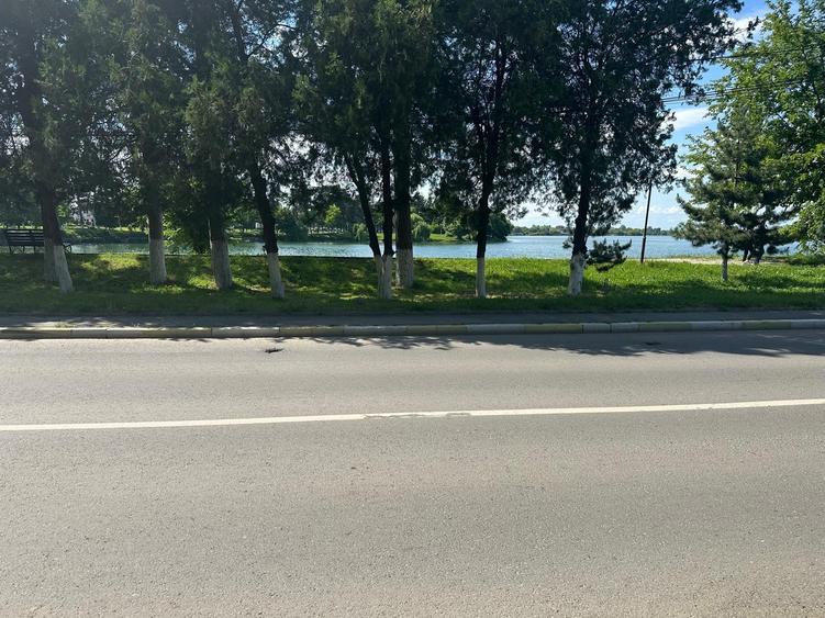 Buftea, Palatul Stirbey, teren intravilan, 2186 mp, vedere catre lac, - 2