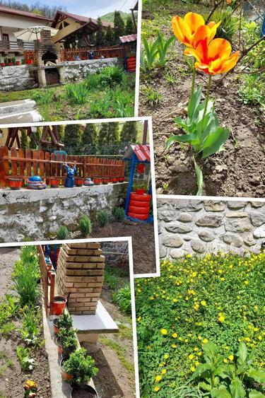 Casa Cheia Baile Olanesti Valcea - 10