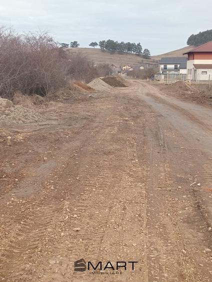 Teren Intravilan 533 mp Sanpetru - 2