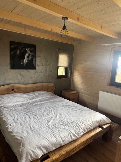 Casa de vanzare ! - 3