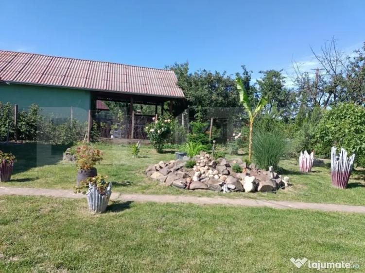 Teren 10 arii extravilan zona Careiului - 3