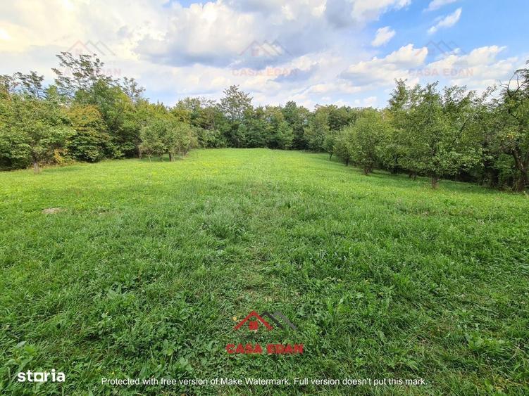 Teren intravilan in Poiana Campina zona retrasa 3287mp 10e - 7