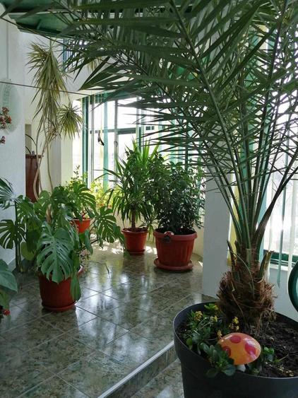 vand casa zona centrala - 17