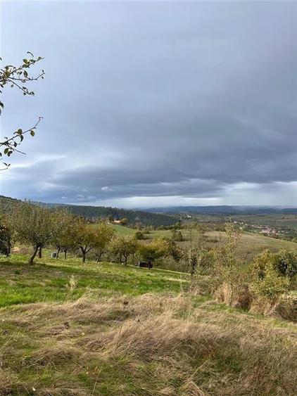 TEREN | 9341 MP | BALNACA GROSI | BIHOR - 7